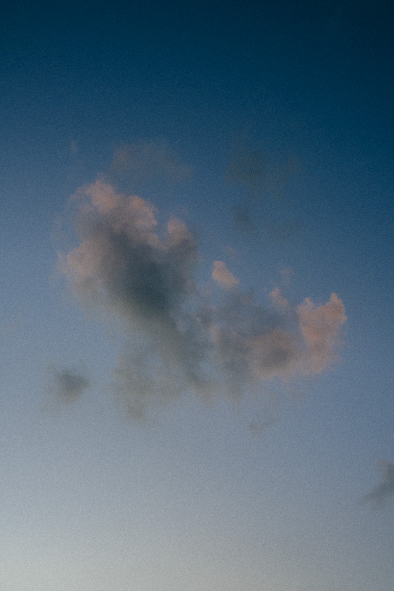 DSCF6474