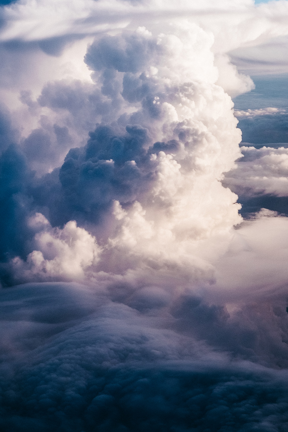 Shop_preview__DSF2711